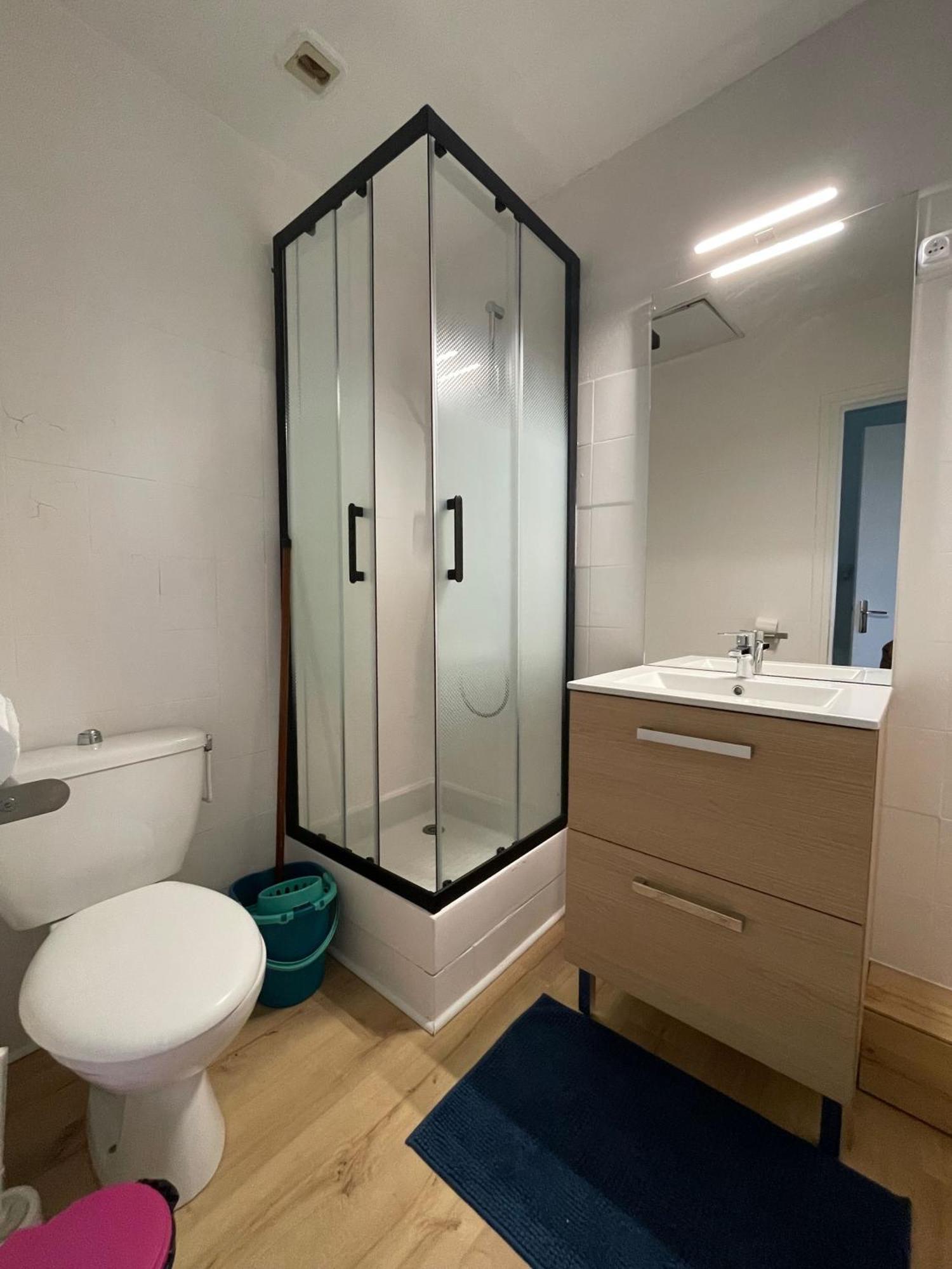Meuble De Tourisme Dans Parc Arbore 1000M2 - Sejour-La-Roche Eperon La Roche-Posay Zimmer foto