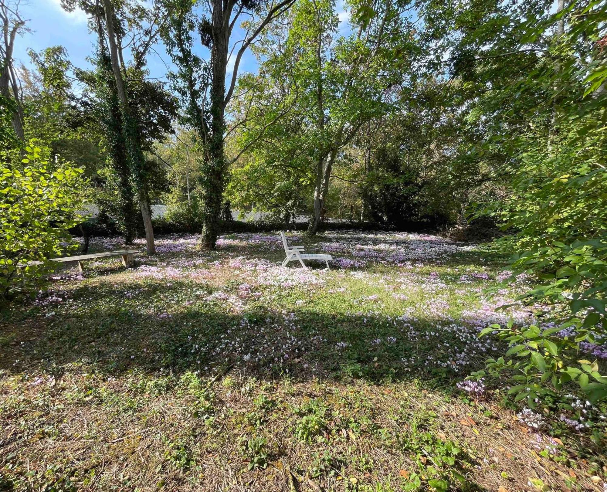 Meuble De Tourisme Dans Parc Arbore 1000M2 - Sejour-La-Roche Eperon La Roche-Posay Zimmer foto